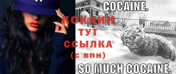 стафф Абаза