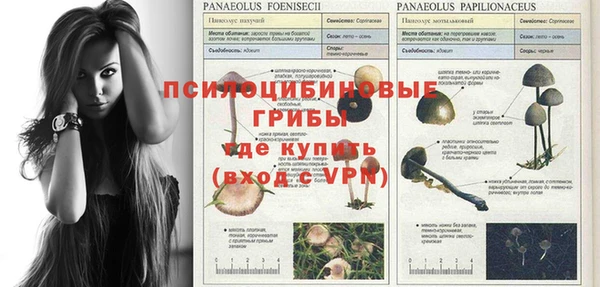 спайс Приозерск