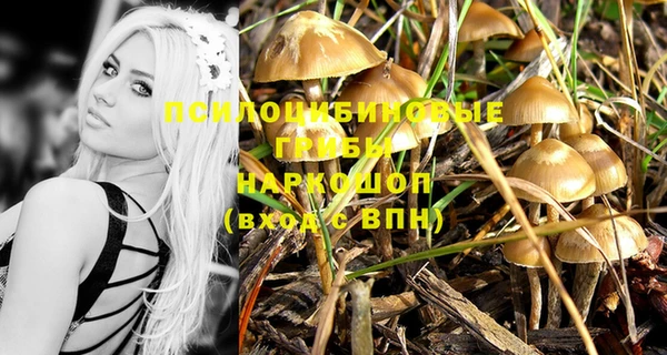 стафф Абаза